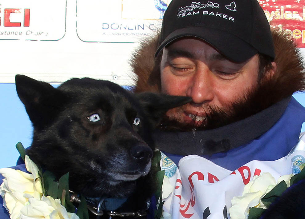 Фотография: Iditarod 2011 и другие гонки на собачьих упряжках №32 - BigPicture.ru