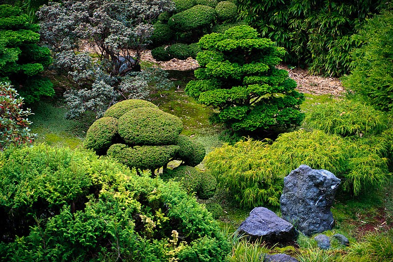 Фотография: Японский чайный сад в Сан-Франциско №8 - BigPicture.ru