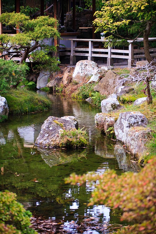 Фотография: Японский чайный сад в Сан-Франциско №4 - BigPicture.ru