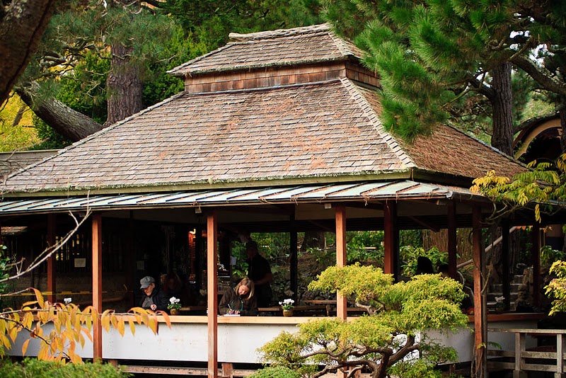 Фотография: Японский чайный сад в Сан-Франциско №3 - BigPicture.ru