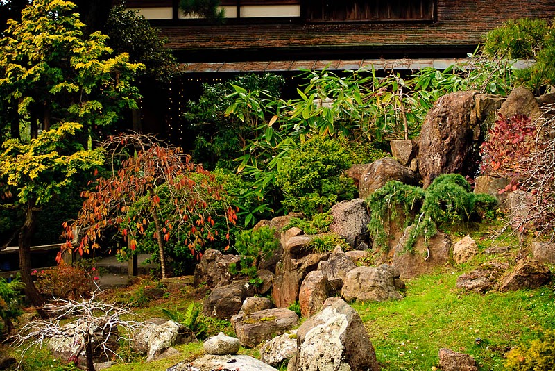 Фотография: Японский чайный сад в Сан-Франциско №2 - BigPicture.ru