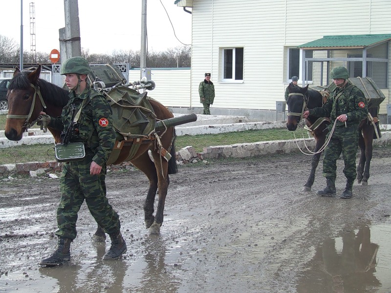 Фотография: 34-я горная бригада: Вьючно-транспортный взвод №43 - BigPicture.ru