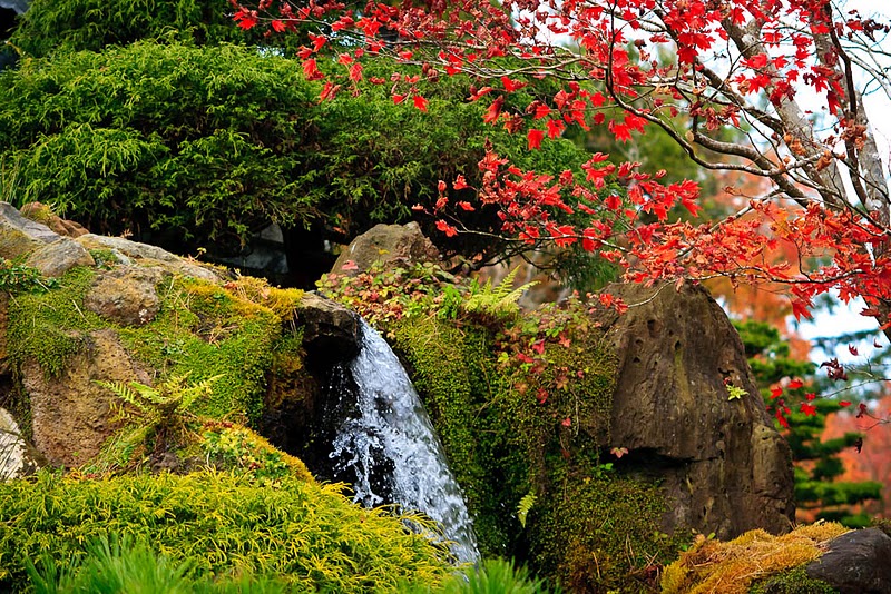 Фотография: Японский чайный сад в Сан-Франциско №1 - BigPicture.ru