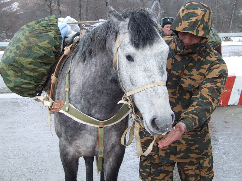 Фотография: 34-я горная бригада: Вьючно-транспортный взвод №40 - BigPicture.ru