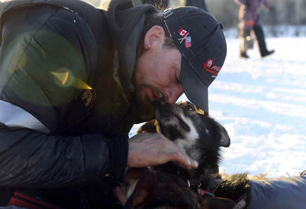 Фотография: Гонки на собачьих упряжках Iditarod 2011 №10 - BigPicture.ru