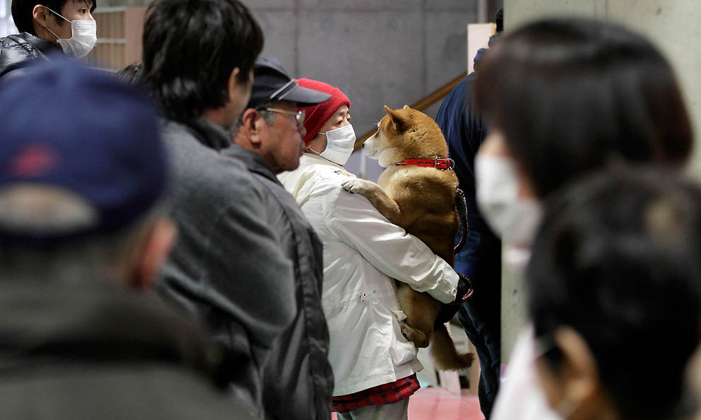 Фотография: Ситуация в Японии после удара стихии №28 - BigPicture.ru