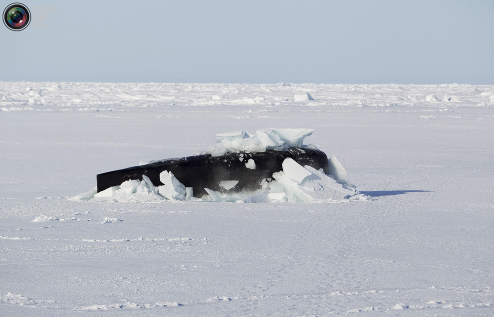 Фотография: Арктические приключения Лукаса Джексона №14 - BigPicture.ru