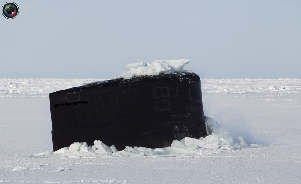 Фотография: Арктические приключения Лукаса Джексона №15 - BigPicture.ru