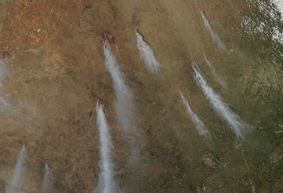 Фотография: Лесные пожары в Техасе №15 - BigPicture.ru