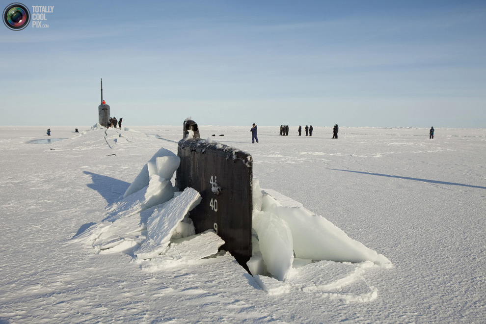 Фотография: Арктические приключения Лукаса Джексона №16 - BigPicture.ru