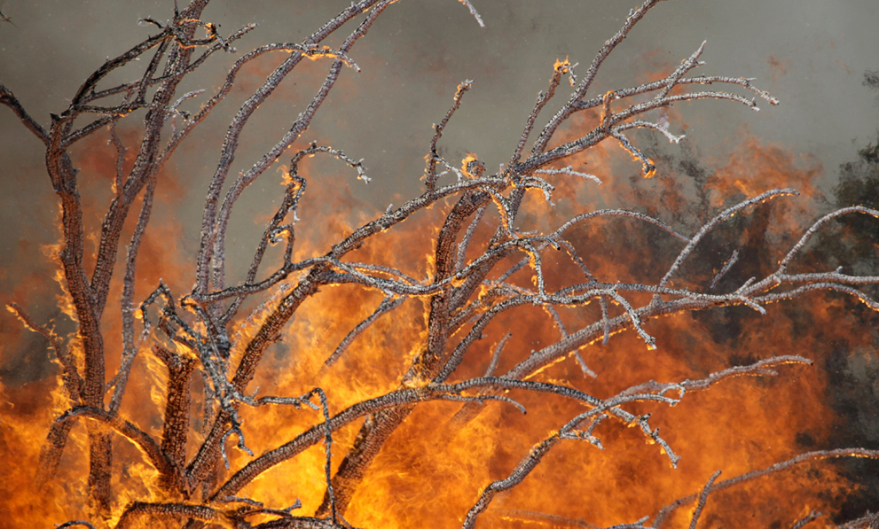 Фотография: Лесные пожары в Техасе №18 - BigPicture.ru