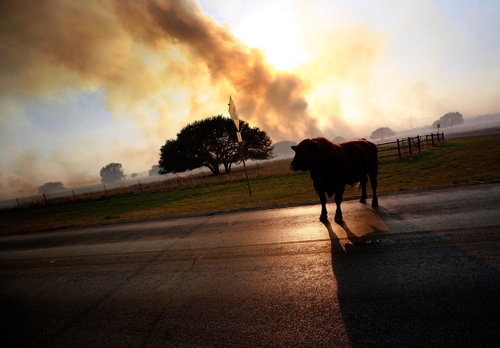 Фотография: Лесные пожары в Техасе №3 - BigPicture.ru