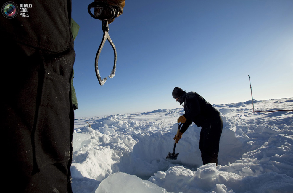 Фотография: Арктические приключения Лукаса Джексона №25 - BigPicture.ru