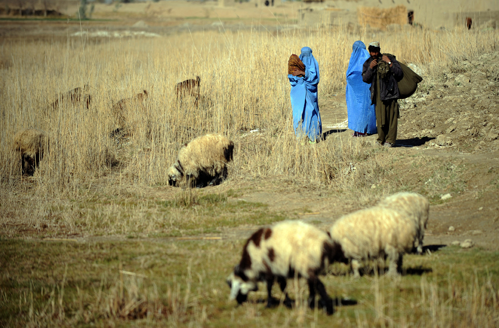 Фотография: Афганистан март 2011 №26 - BigPicture.ru