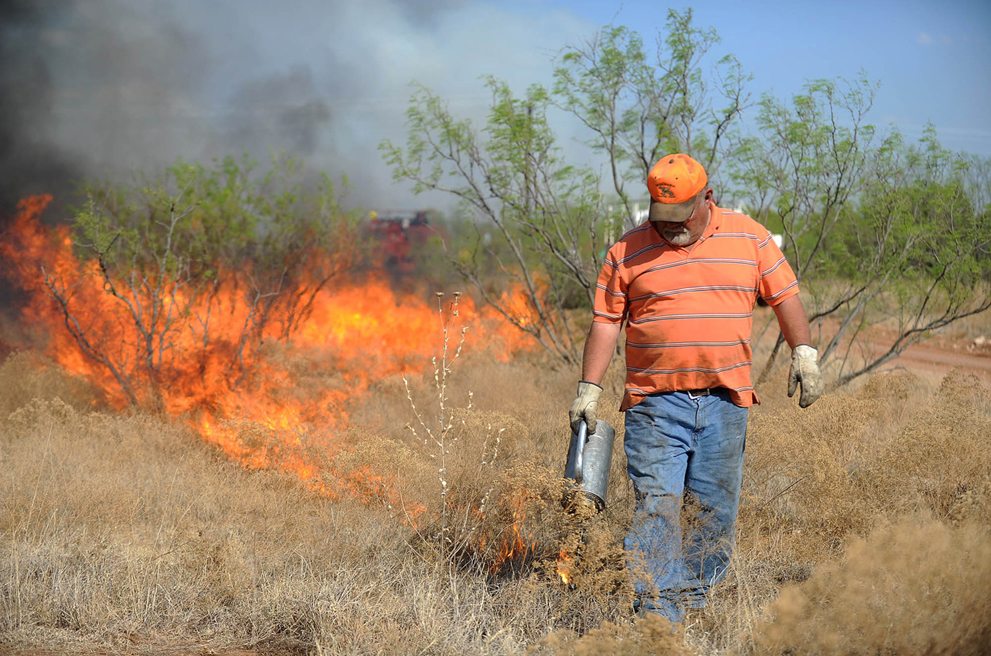 Фотография: Лесные пожары в Техасе №27 - BigPicture.ru