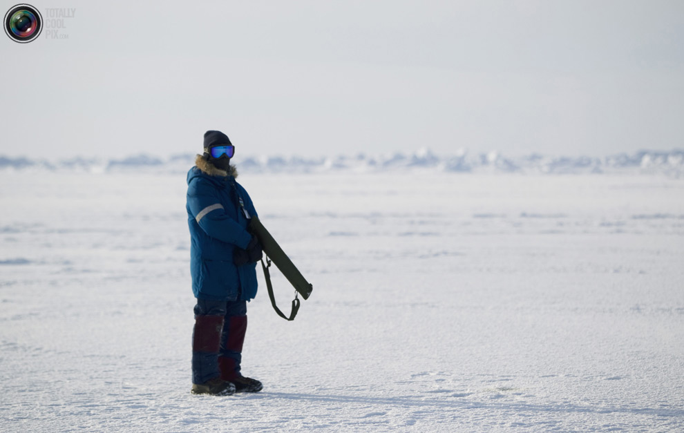 Фотография: Арктические приключения Лукаса Джексона №29 - BigPicture.ru
