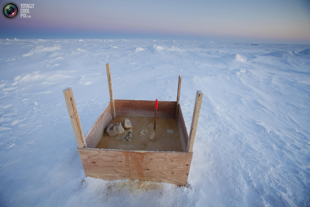 Фотография: Арктические приключения Лукаса Джексона №44 - BigPicture.ru