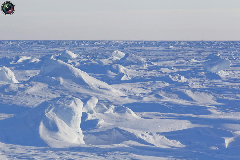 Фотография: Арктические приключения Лукаса Джексона №48 - BigPicture.ru