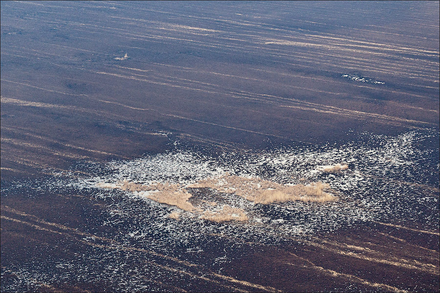 Фотография: Кожа земли астраханской №7 - BigPicture.ru