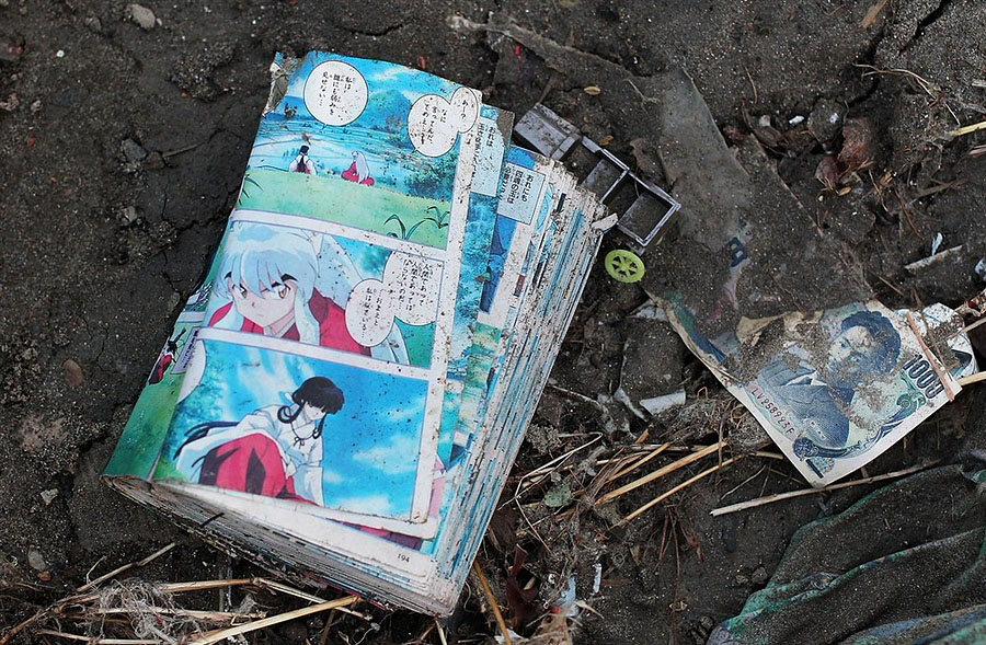 Фотография: Натюрморты после цунами в Японии №9 - BigPicture.ru