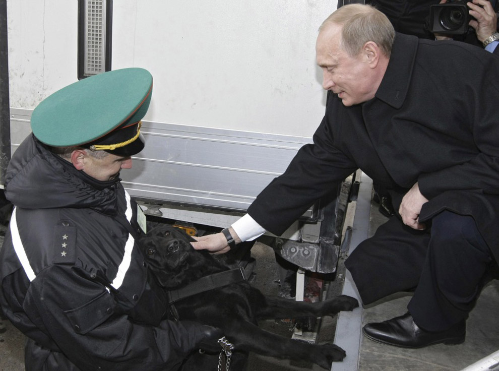 Фотография: Путин глазами зарубежных СМИ №12 - BigPicture.ru