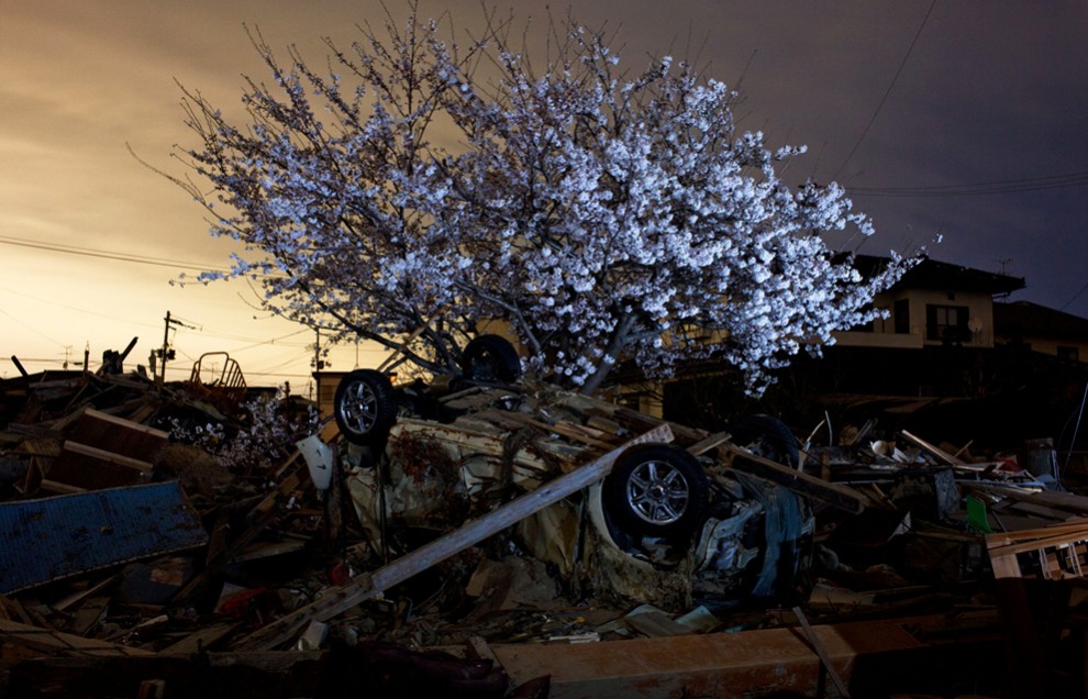 Фотография: Катастрофа в Японии: два месяца спустя №2 - BigPicture.ru