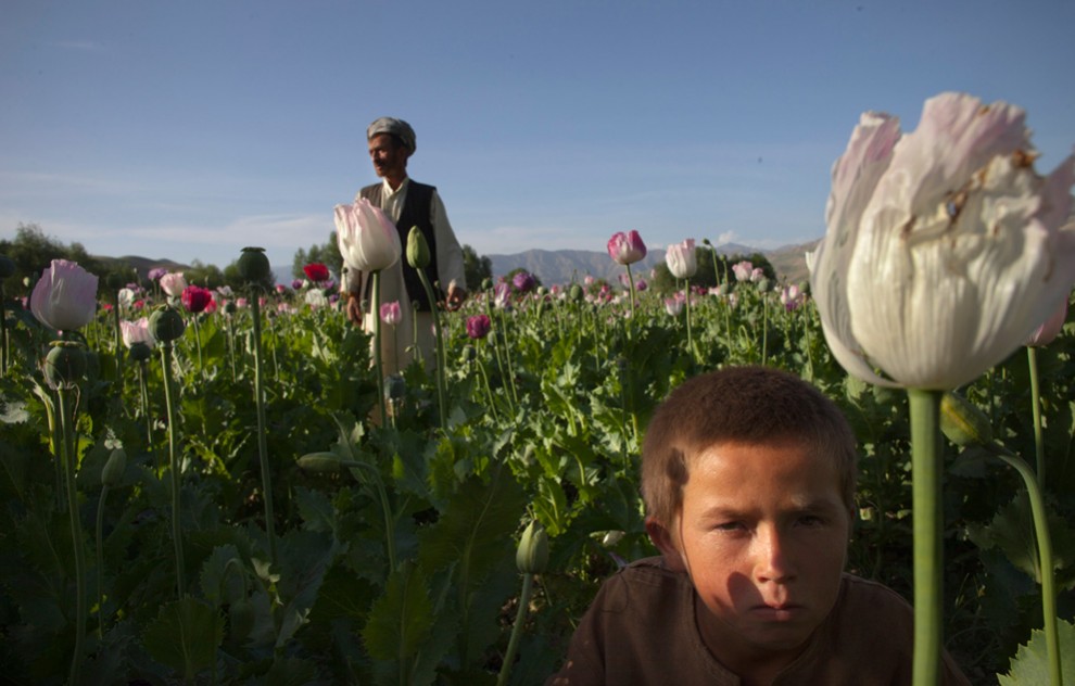 Фотография: День Памяти: Афганистан май 2011 №16 - BigPicture.ru