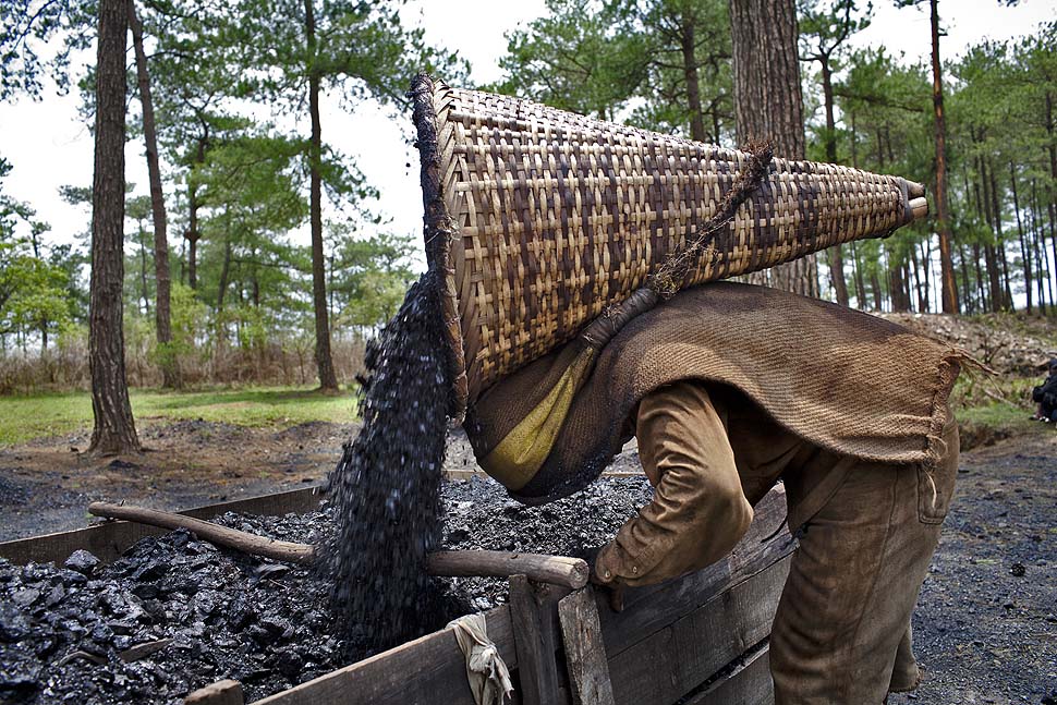 Фотография: Детский труд в индийских угольных шахтах №16 - BigPicture.ru