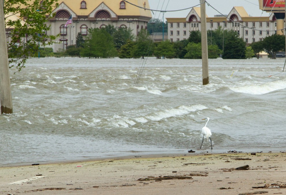 Фотография: Наводнение движется на юг США №26 - BigPicture.ru