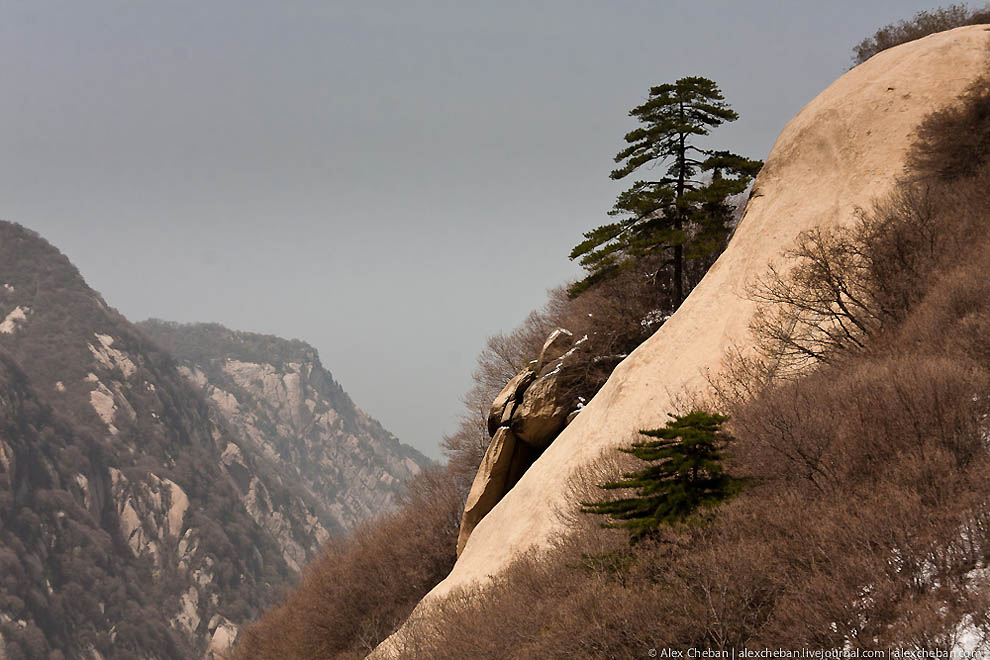 Фотография: Гора Хуа - священная вершина даосизма №27 - BigPicture.ru