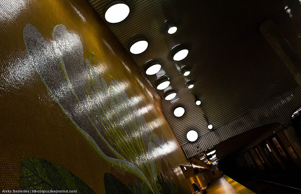 Фотография: Все метро Торонто №28 - BigPicture.ru