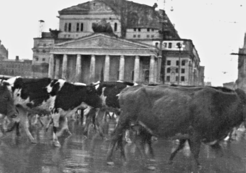 Фотография: 1941 год в черно-белых фотографиях №35 - BigPicture.ru