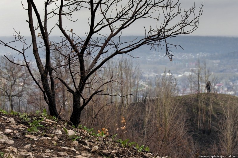 Гора шишка в минусинском районе фото