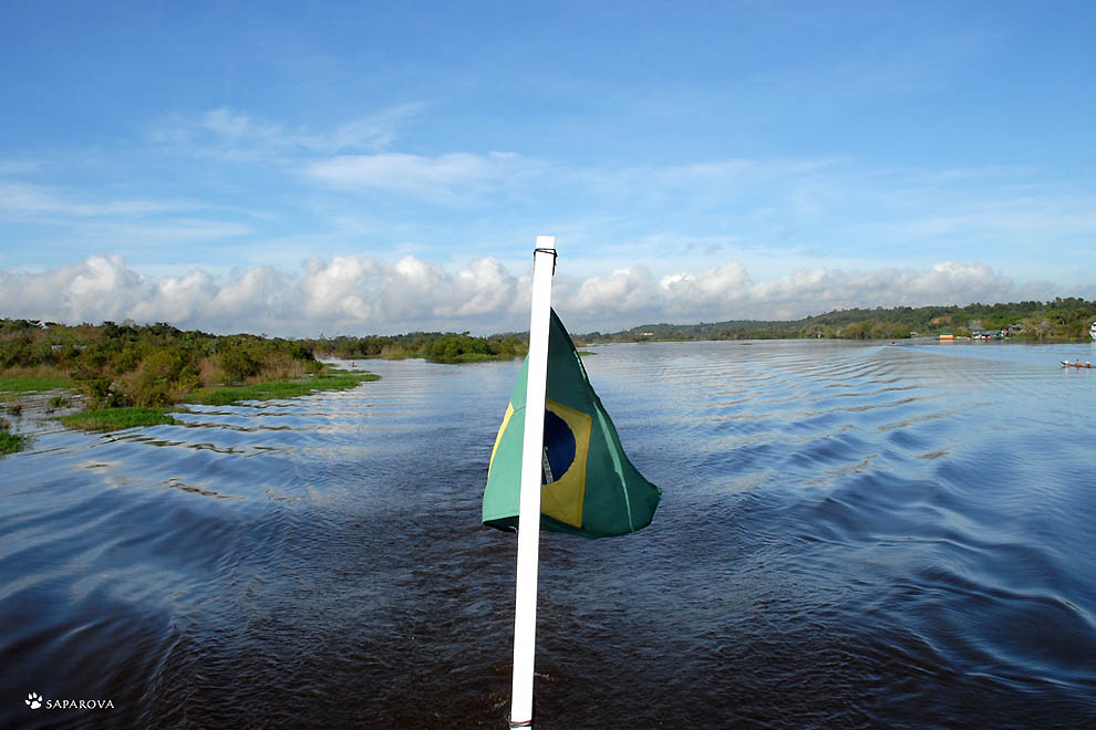 Фотография: Другая Бразилия: Амазония №7 - BigPicture.ru
