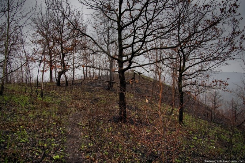 Гора шишка в минусинском районе фото