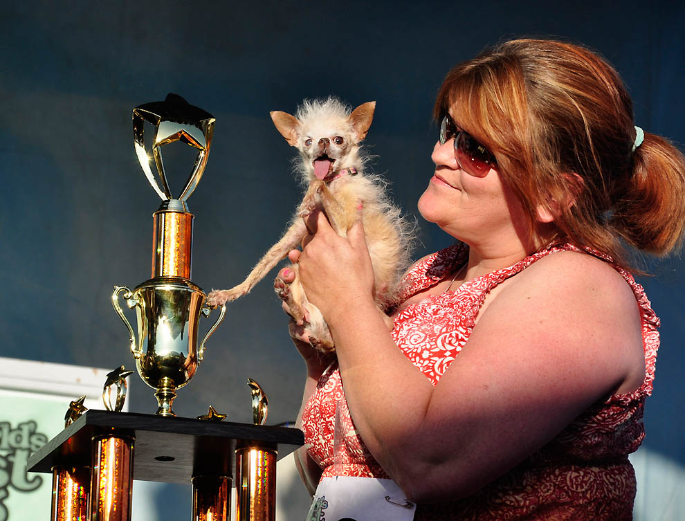 Фотография: Конкурс на звание самой уродливой собаки №2 - BigPicture.ru