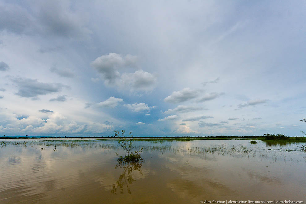Фотография: Затопленные леса в Камбодже №15 - BigPicture.ru