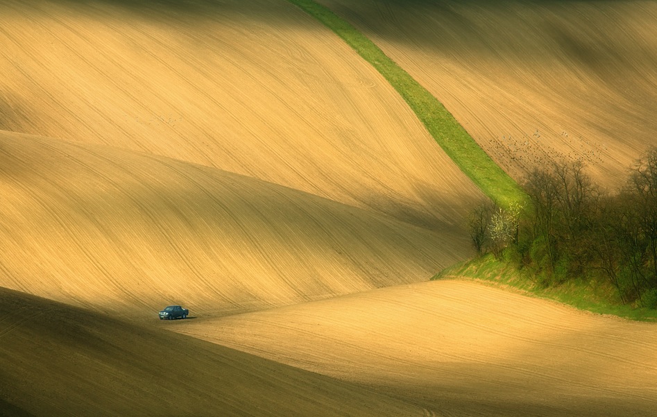 Фотография: Потрясающие зеленые поля №16 - BigPicture.ru