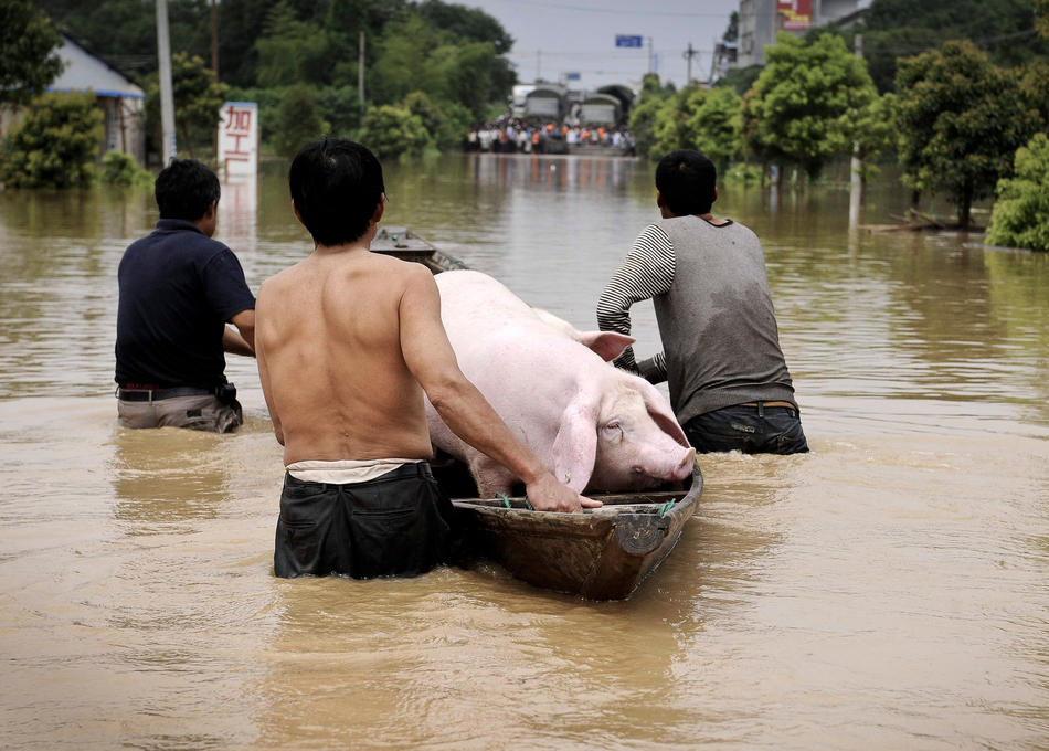 Фотография: Наводнение в Китае №17 - BigPicture.ru