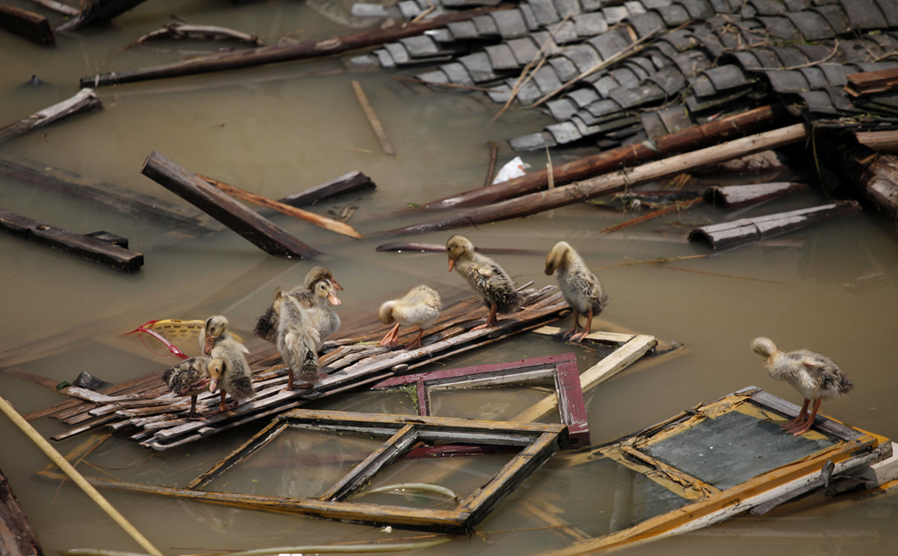 Фотография: Наводнение после засухи в Китае №17 - BigPicture.ru