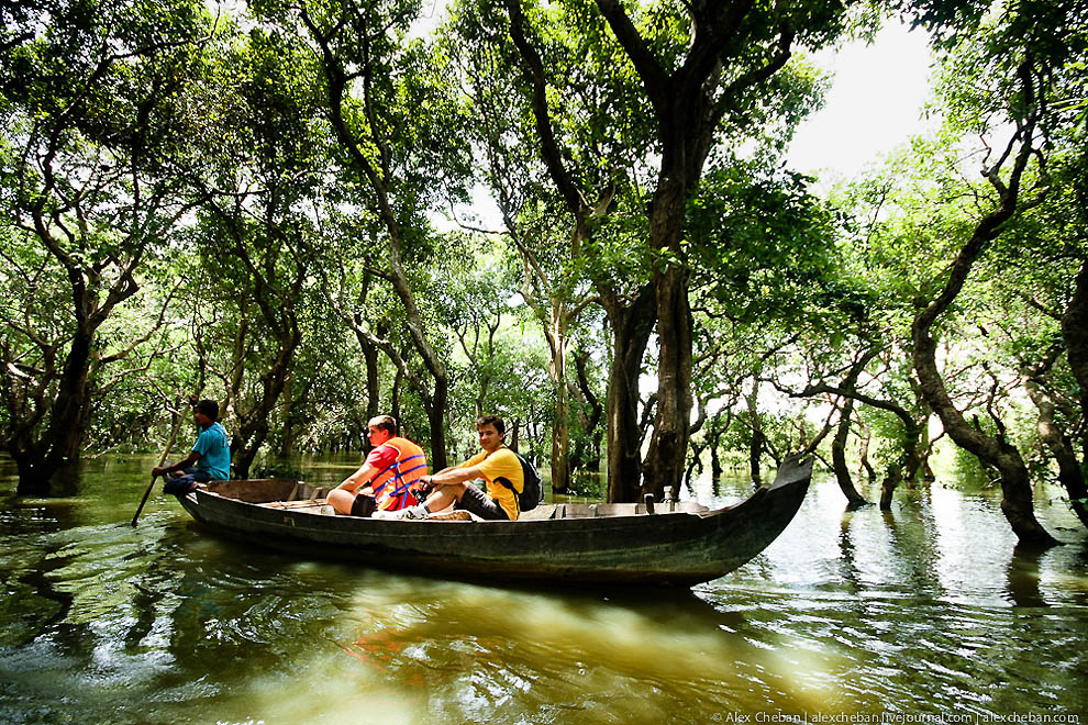 Фотография: Затопленные леса в Камбодже №19 - BigPicture.ru