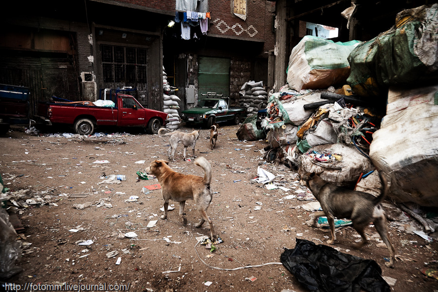 Фотография: Город в городе: квартал мусорщиков в Каире №30 - BigPicture.ru