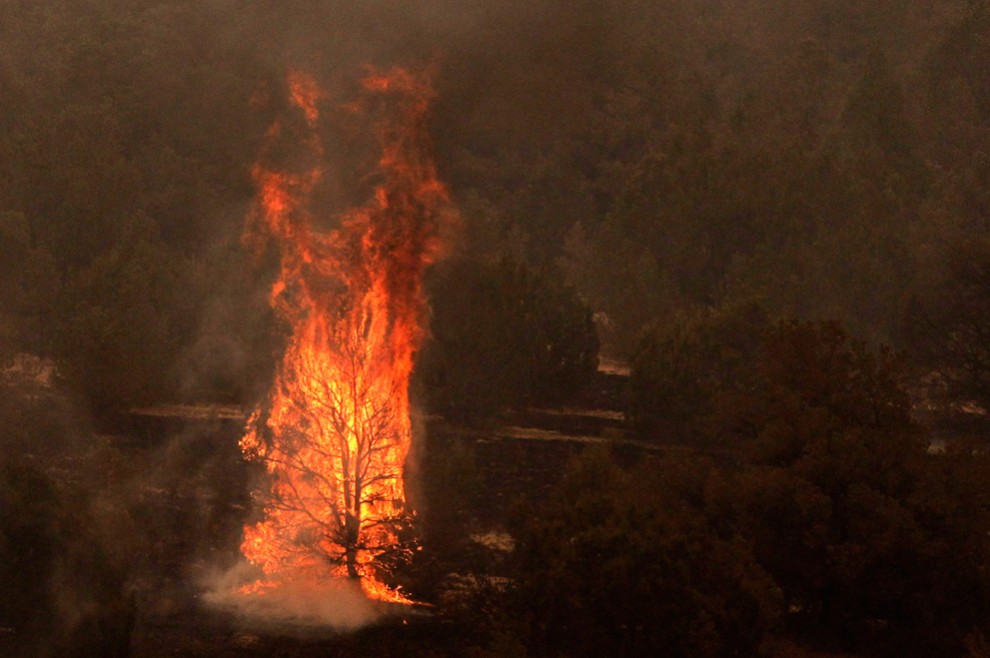 Фотография: Лесные пожары в Аризоне №33 - BigPicture.ru