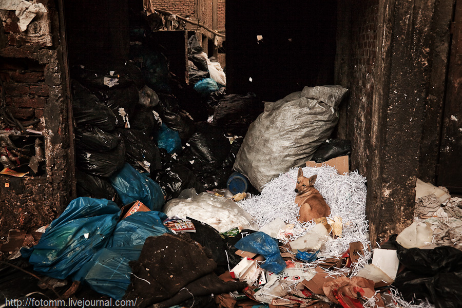 Фотография: Город в городе: квартал мусорщиков в Каире №35 - BigPicture.ru