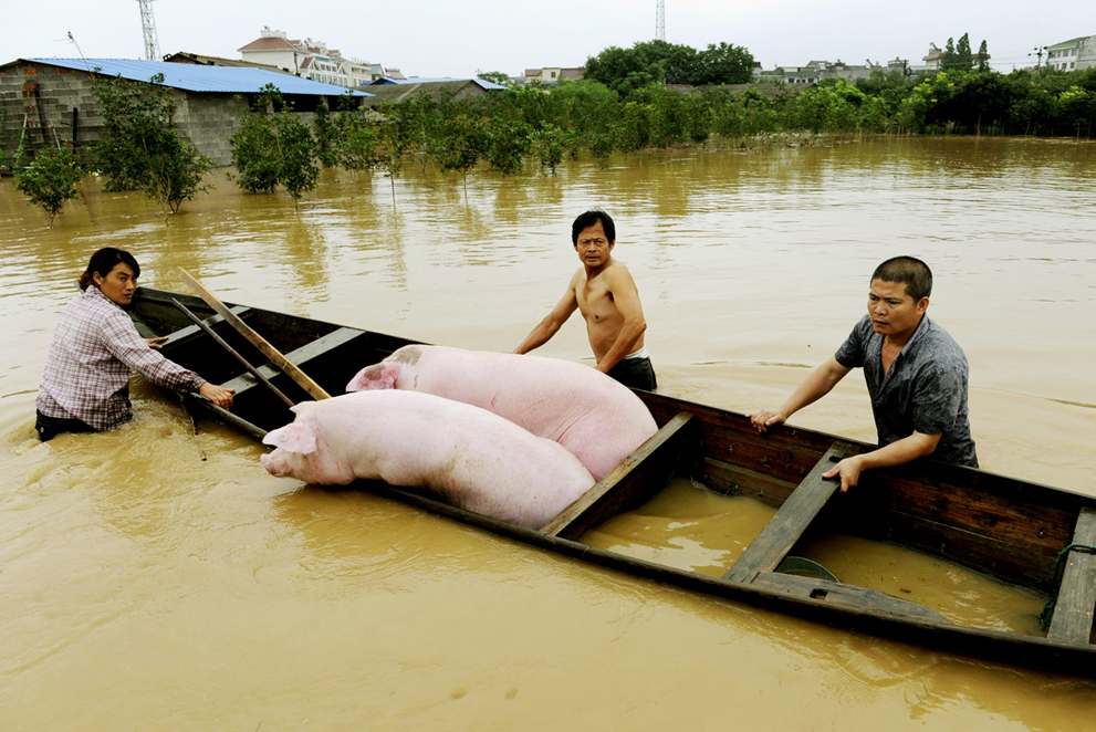 Фотография: Наводнение после засухи в Китае №37 - BigPicture.ru