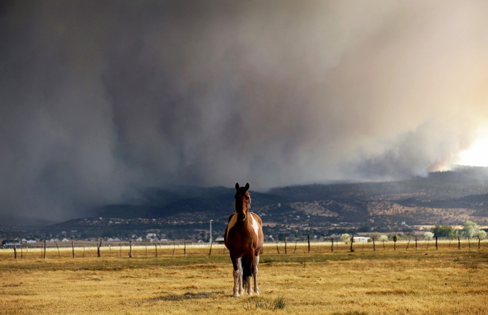 Фотография: Лесные пожары в Аризоне №5 - BigPicture.ru
