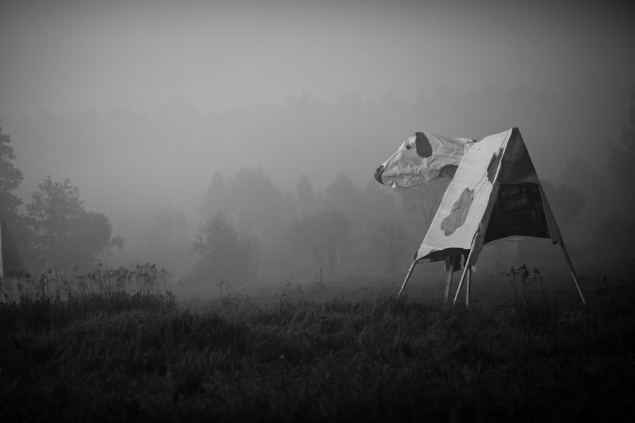 Фотография: Пустые холмы 2011: Ночь №80 - BigPicture.ru
