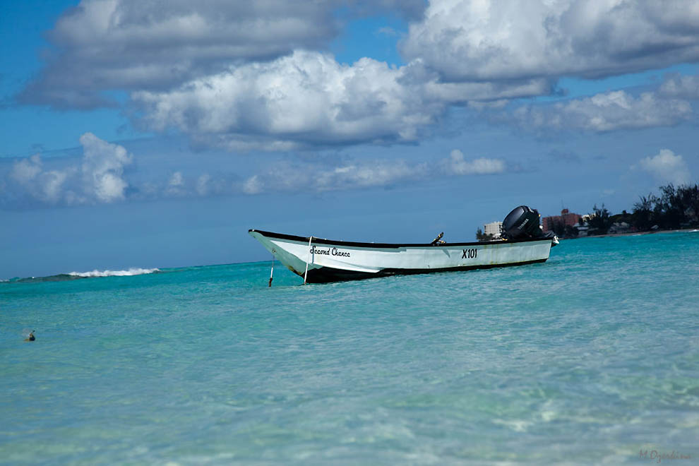Фотография: Поездка в Барбадос №1 - BigPicture.ru