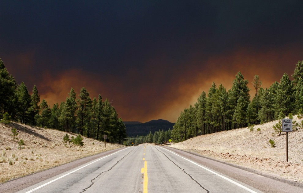 Фотография: Лесные пожары в Аризоне №9 - BigPicture.ru