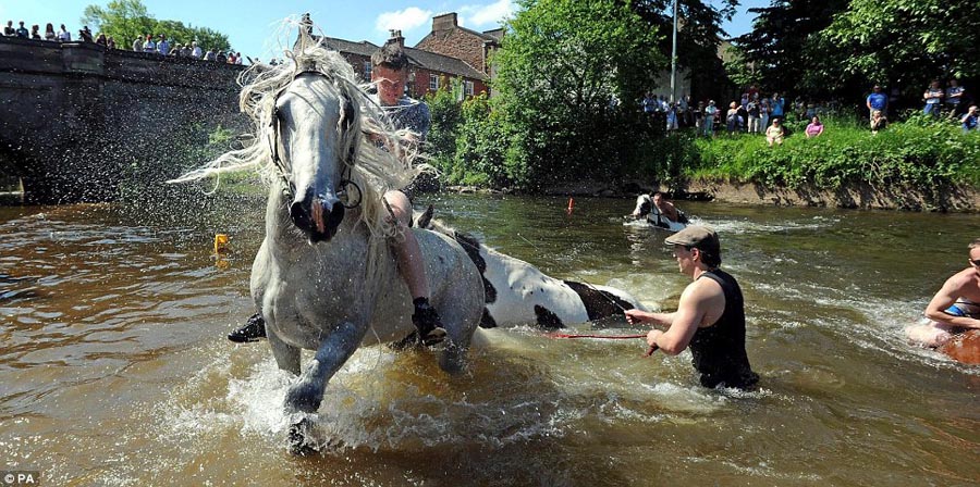Фотография: Цыганская конная ярмарка в Эпплби №11 - BigPicture.ru
